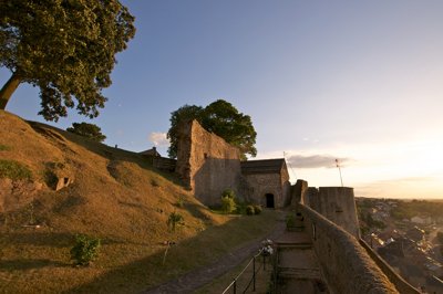 3 this morning, only one small this evening_4846887254_l.jpg